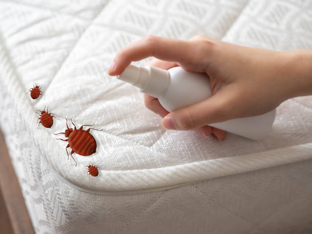 Best Bed Bug Extermination  in La Crosse, WI