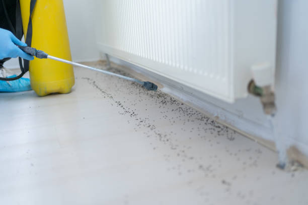 Professional Pest Control in La Crosse, WI