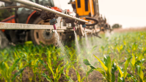 Best Mosquito Control Services  in La Crosse, WI